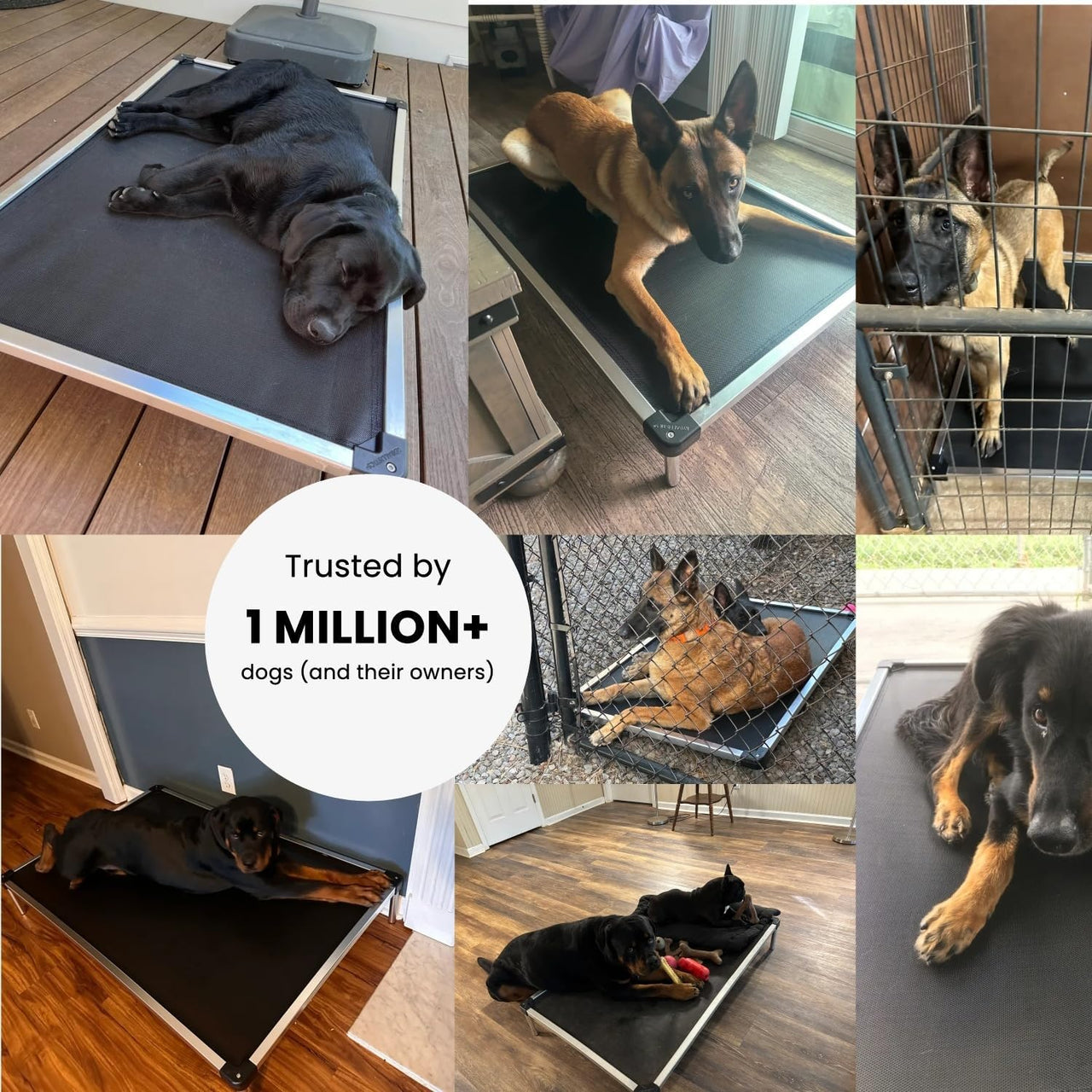 Chew Proof Elevated Cot Bed, S, Black Mesh | Virtually Indestructible Bed for Aggressive Chewers, Comes Preassembled, Indoor/Outdoor/Crate Use, Small: 29