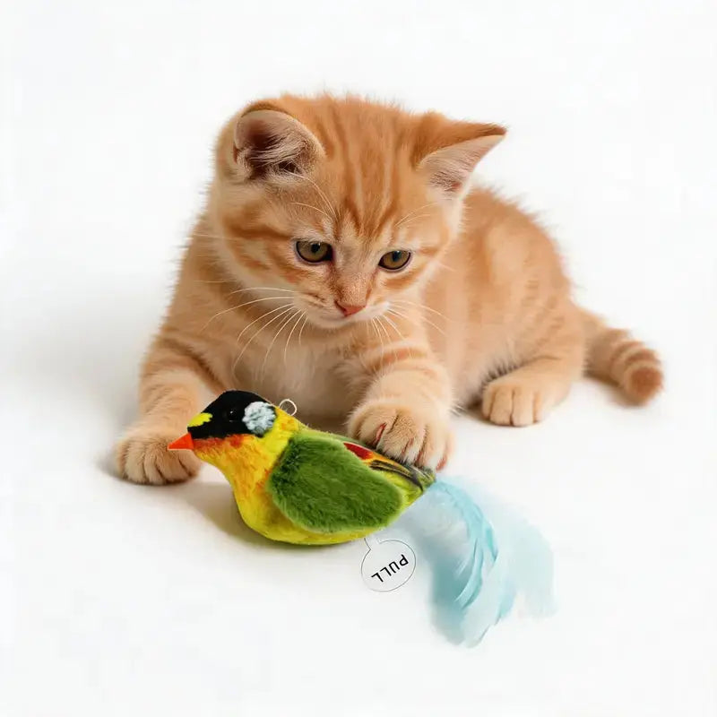 Interactive Singing Bird Cat Toy, Realistic Plush Bird Toy with Vivid Bird Chirp Sound, Soft Plush Indoor Educational Entertainment Toy for Kittens The Happy Pet Store