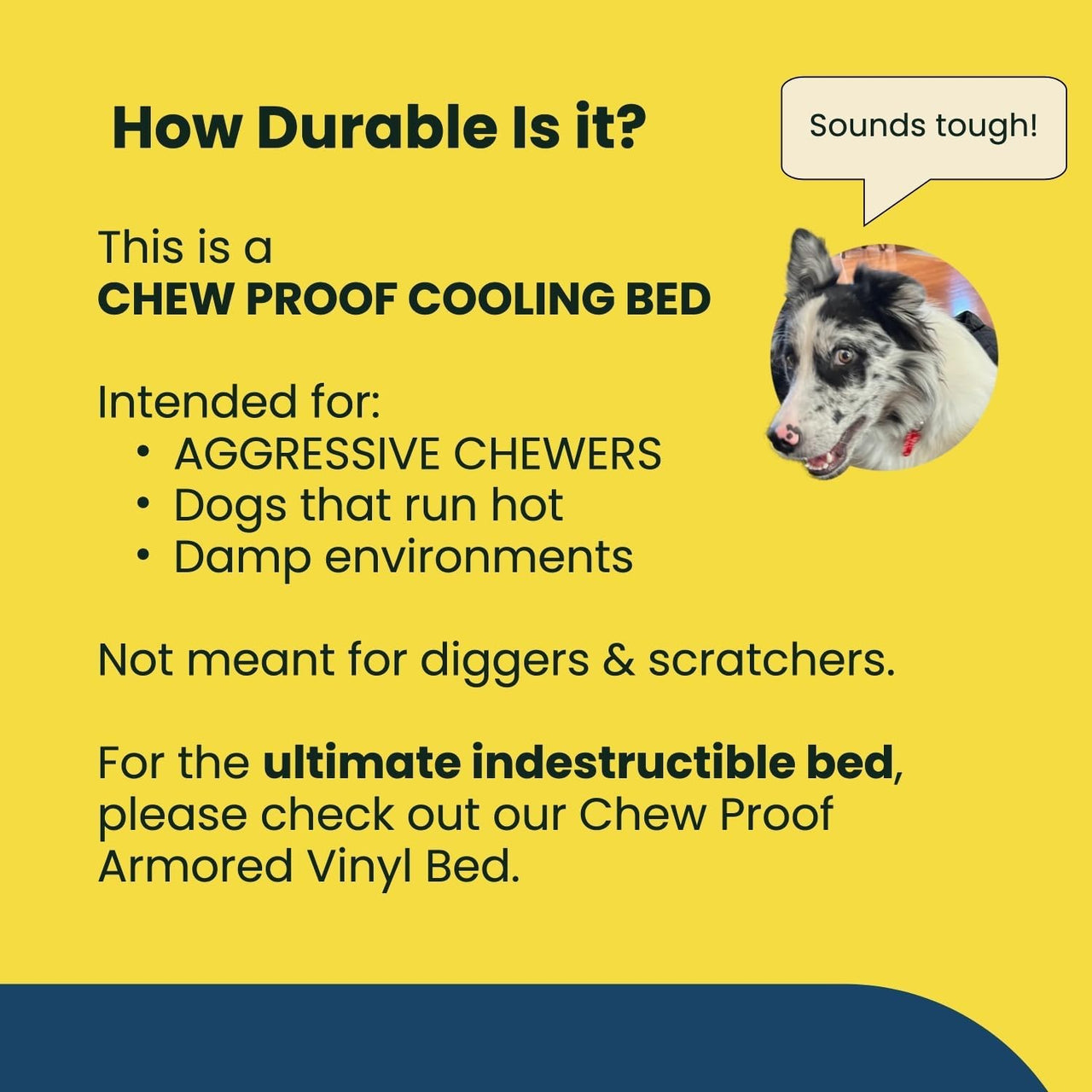 Chew Proof Elevated Cot Bed, S, Black Mesh | Virtually Indestructible Bed for Aggressive Chewers, Comes Preassembled, Indoor/Outdoor/Crate Use, Small: 29