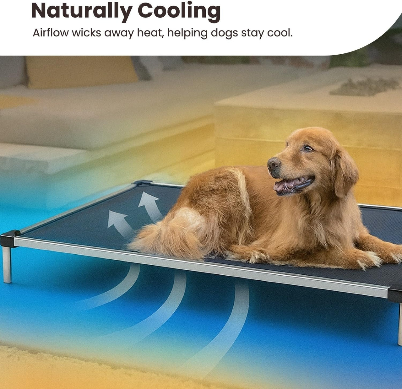 Chew Proof Elevated Cot Bed, S, Black Mesh | Virtually Indestructible Bed for Aggressive Chewers, Comes Preassembled, Indoor/Outdoor/Crate Use, Small: 29
