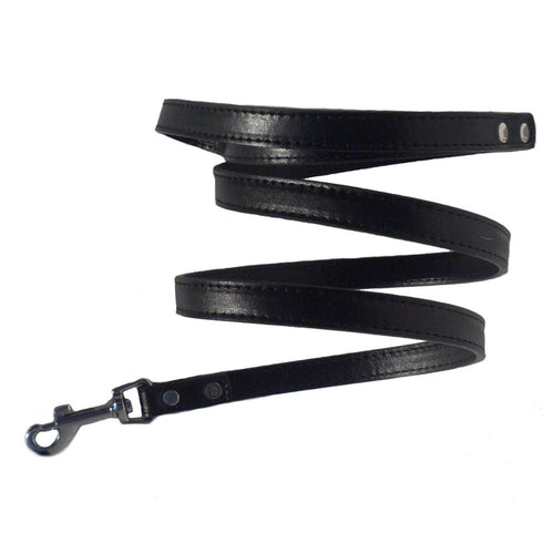 Classic Dog Leads - Medium