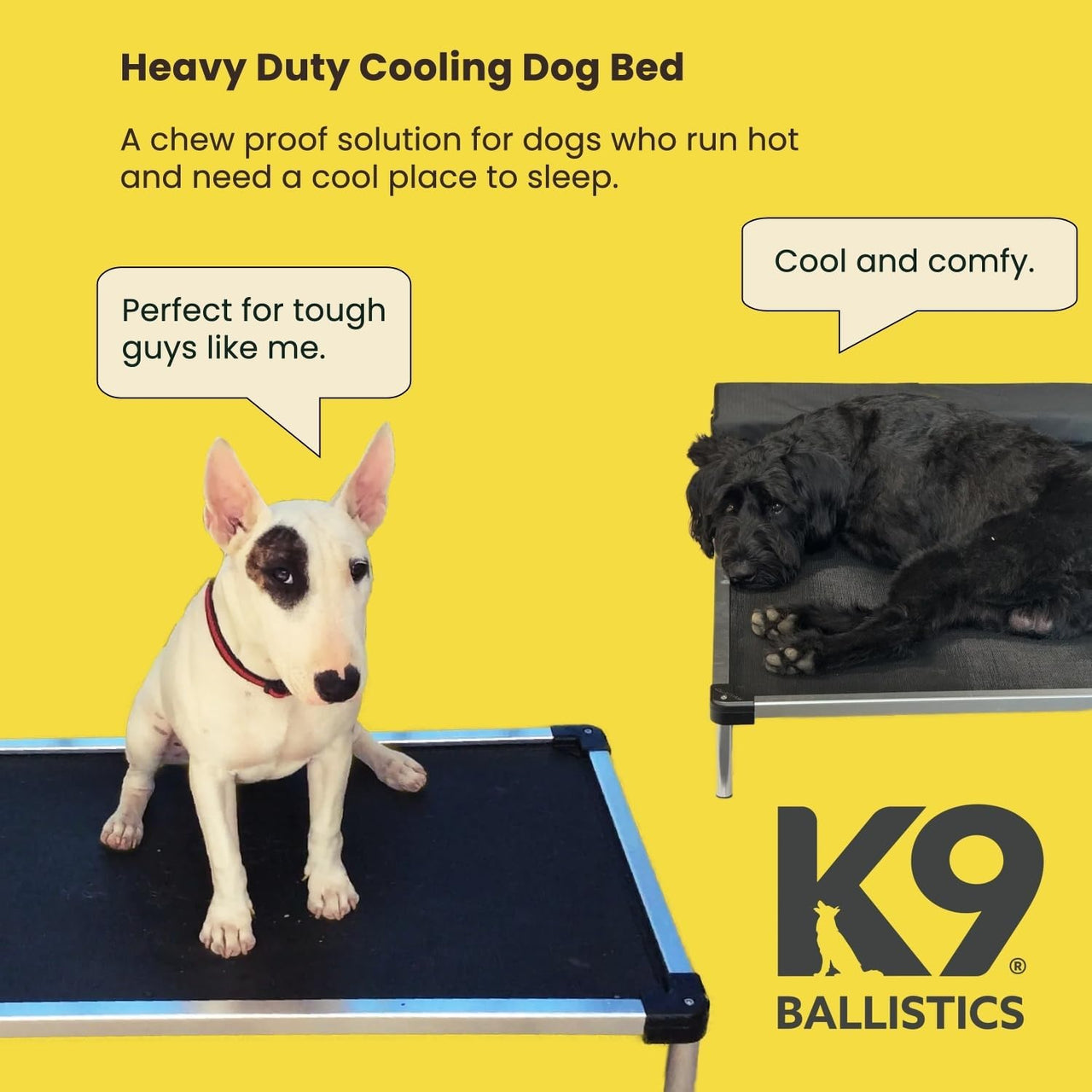 Chew Proof Elevated Cot Bed, S, Black Mesh | Virtually Indestructible Bed for Aggressive Chewers, Comes Preassembled, Indoor/Outdoor/Crate Use, Small: 29