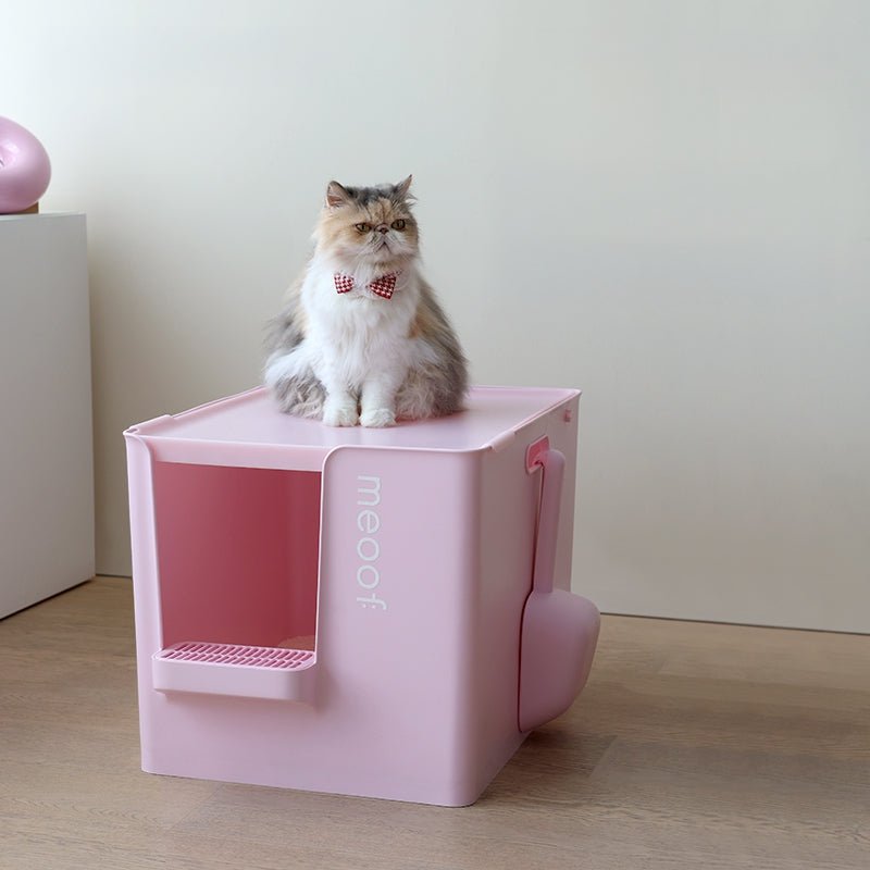 Extra Large Semi-Enclosed Cat Litter Box with Step & Scoop Set