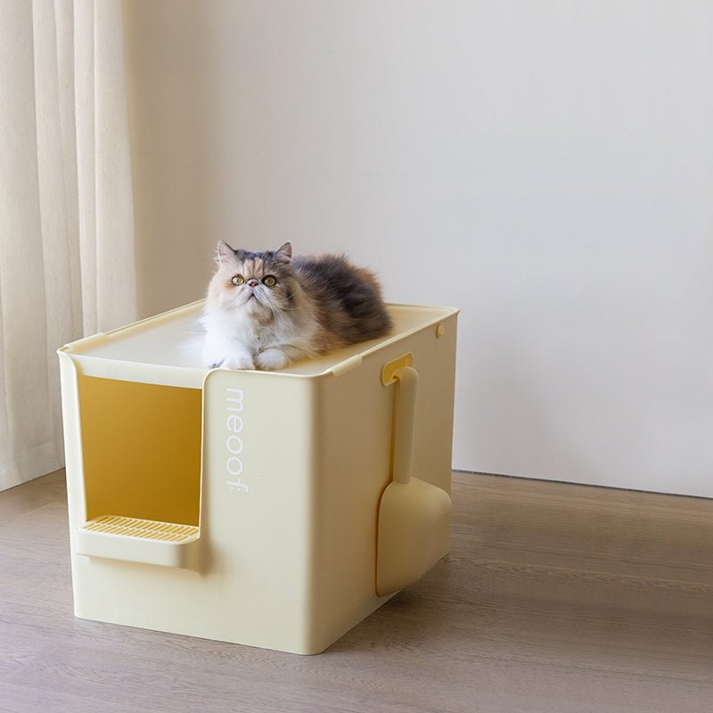 Extra Large Semi-Enclosed Cat Litter Box with Step & Scoop Set