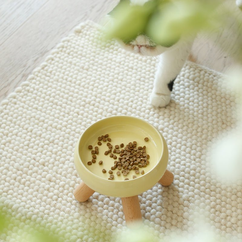 Gulu Elevated Ceramic Pet Food Bowl with Wooden Stand