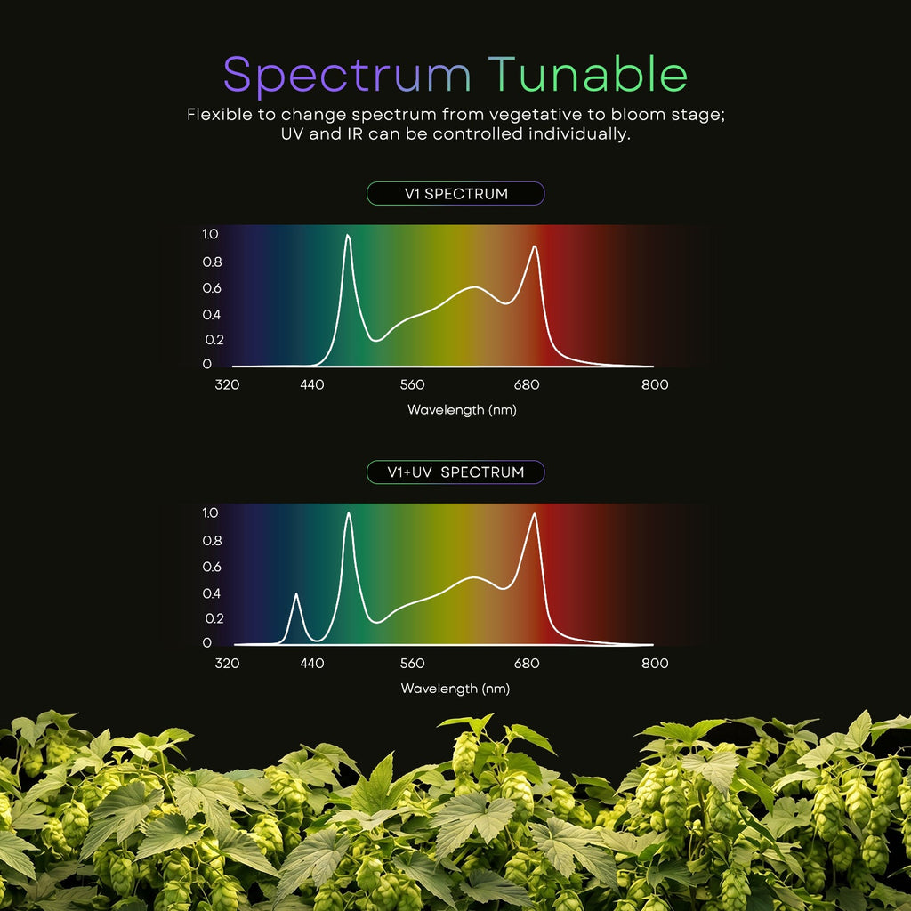 Medic Grow Star Link-1200 Full Spectrum 1200W Commercial Dimmable UV LED Grow Light – High PPFD And Wireless Connection for for 4X6 Planting